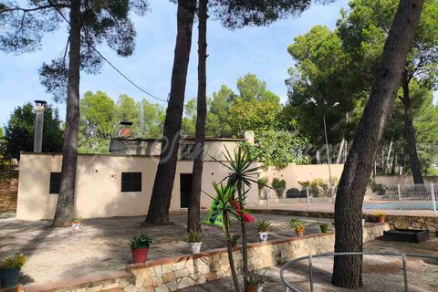 Landejendom i Almansa, Albacete, Almansa - € 235.000 | Ref: SF0548 - foto 26